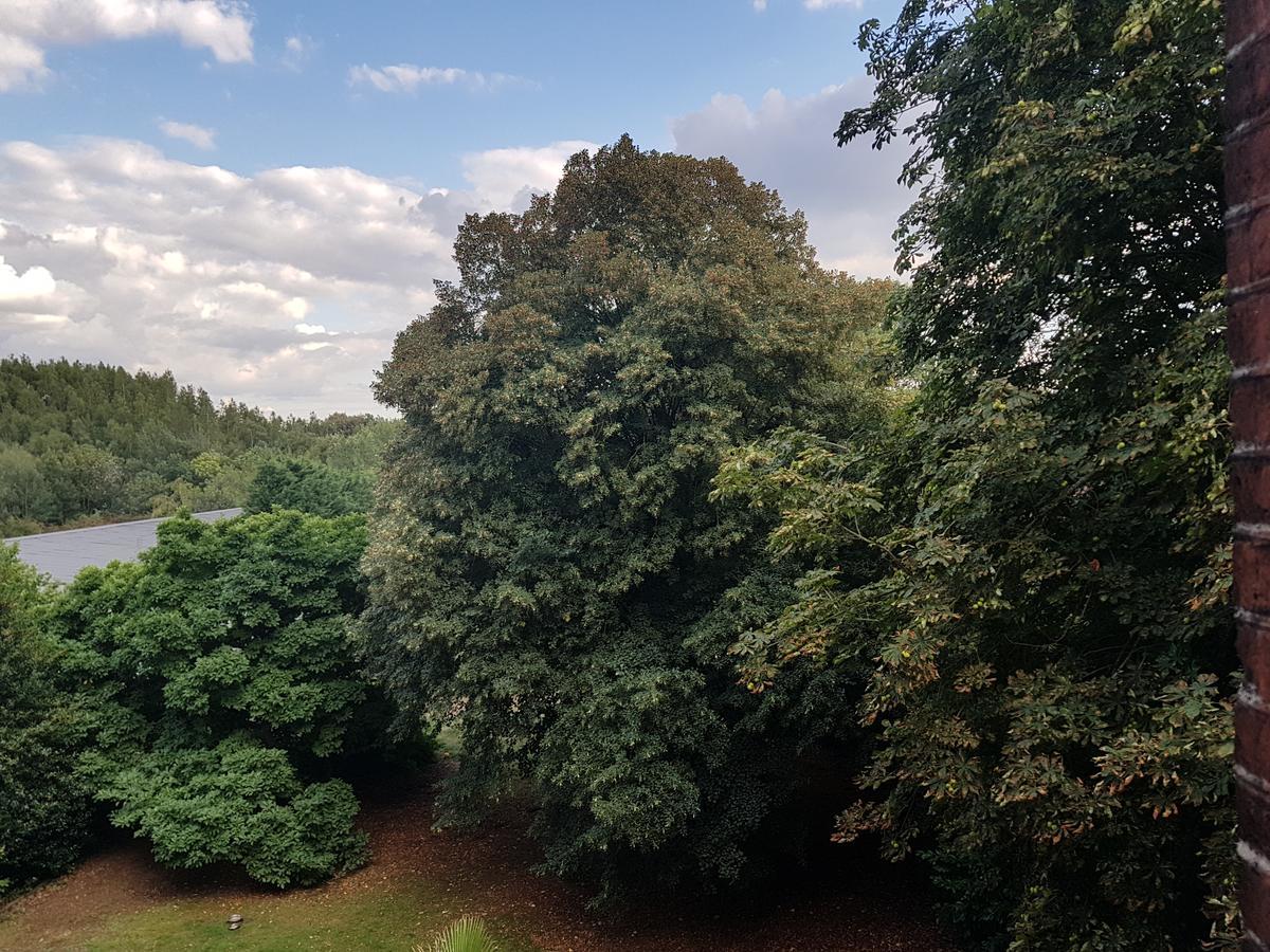 Chateau Lambert Moulinsart Hotel, Shuttle Airport, Long Term Parking, Snooker, Large Terrasse, Dinner, Breakfast Charleroi Bagian luar foto