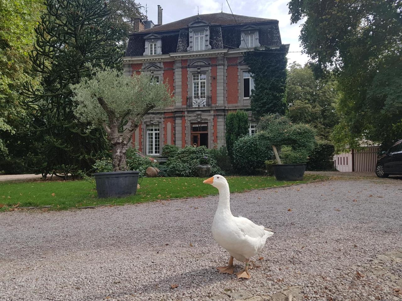 Chateau Lambert Moulinsart Hotel, Shuttle Airport, Long Term Parking, Snooker, Large Terrasse, Dinner, Breakfast Charleroi Bagian luar foto